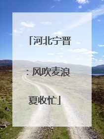 河北宁晋：风吹麦浪夏收忙